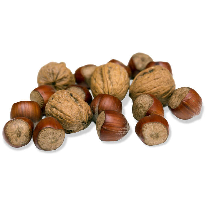 JR FARM Eichhörnchen-Knack